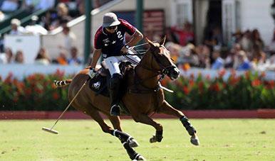 Polo Tickets